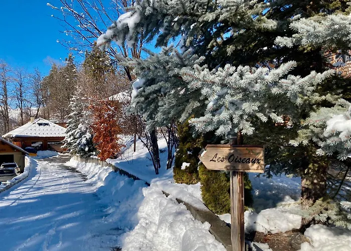 Charmant Petit Chalet Individuel
