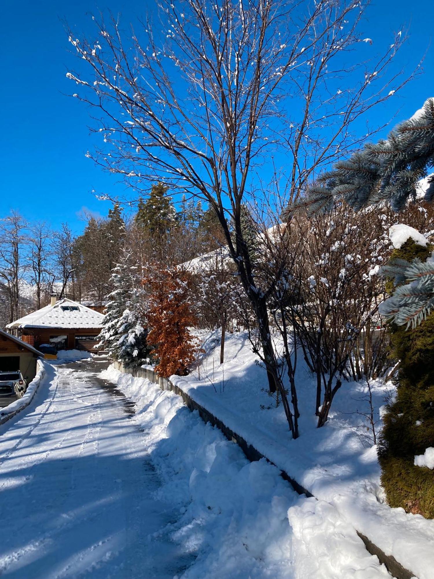 Chalet Petit Individuel *